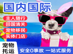 禄口航空托运国际宠物托运 【国